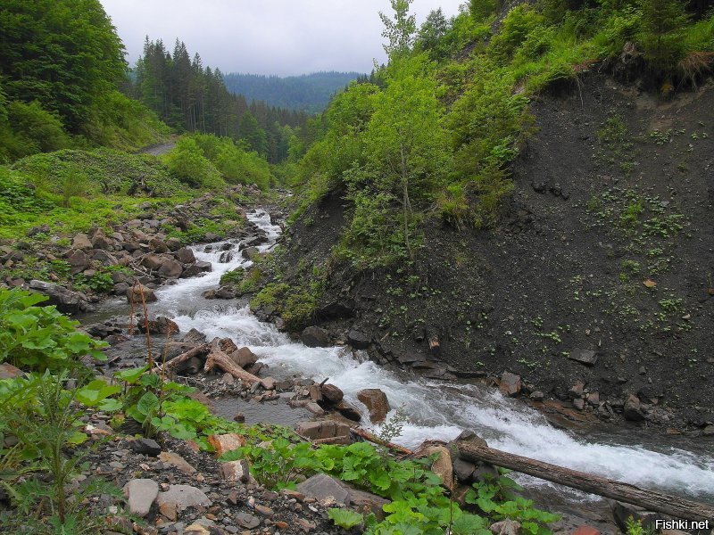 Я из Москвы. Бандеровцев не встретила.