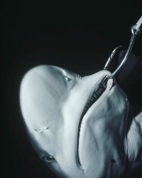 А здесь что красивого?