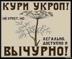 Укроп это вам не это