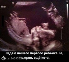 Картинки с надписями