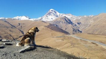 Был в Грузии два раза в прошлом году, я бы не сказал что там нет толп туристов, а летом в Батуми вообще кирдык на море. А так стоит посетить, цены приятные.