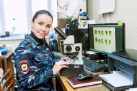 Прикольные и смешные картинки