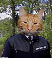 Прикольные и смешные картинки