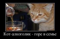 Пьющие коты