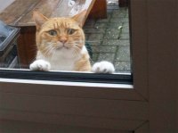 Прикольные и смешные картинки