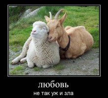 Девушки, в жилах которых течет кровь разных национальностей (