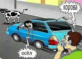 Женщина упорно пыталась проехать по встречной полосе и отказывалась пропустить автобус