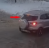 На заднем стекле ее корыта знак "Начинающий водитель".Вот и все.