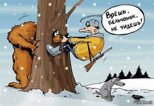 Приморский лесоруб случайно разбудил спавшего в стволе дерева медведя