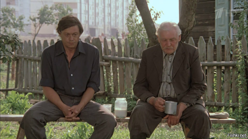 И это далеко не все