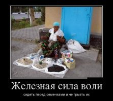 История непростых отношений русского народа с семечками