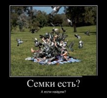 История непростых отношений русского народа с семечками