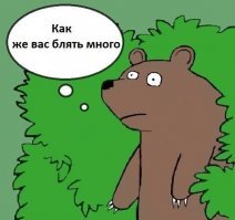 «После моей унылой Читы». Россиянка о жизни в Дании