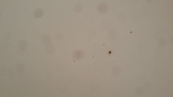 Попросили помочь, розетка в ванной что-то не работает, приехал...