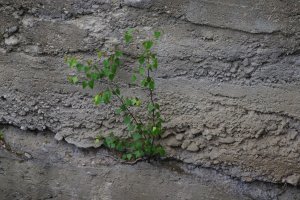 35+ доказательств того, что с планетой всё в порядке,  это людям хана