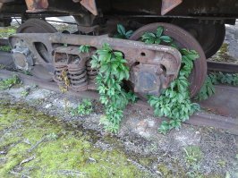 35+ доказательств того, что с планетой всё в порядке,  это людям хана