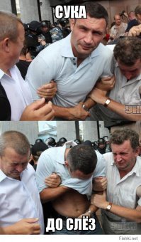 Прикольные картинки, поднимающие настроение