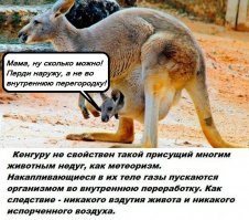 Бесполезные факты