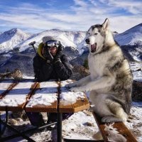 Хера себе у вас там зайцы