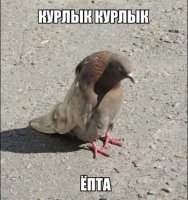 Прикольные и смешные картинки