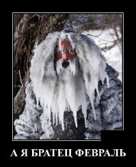 Зимние фотозарисовки