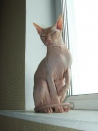 Картинки с надписями