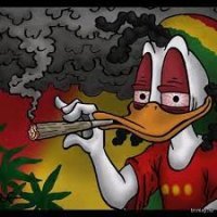 Что такое утиный косяк в понимании современного ребенка