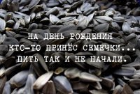 История непростых отношений русского народа с семечками