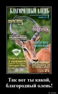 Об отношениях с 40-летней РС+3П
