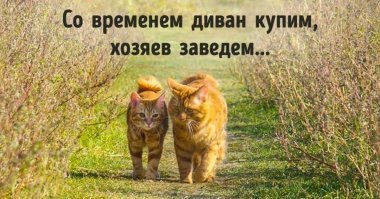 Как-то так получается...