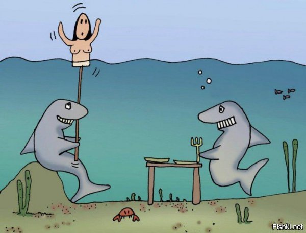 Жестокая шутка: рыбак сделал из акулы кальян