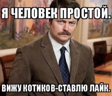 Кошачий расслабон