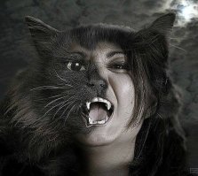 Союз зверья и красоток - на это можно смотреть вечно