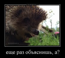 Ежу понятно	