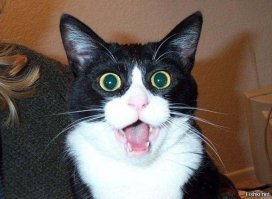 Горбатый "Запорожец" из Пензы с подвеской и двигателем от ВАЗа