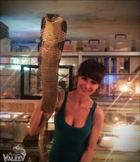 Союз зверья и красоток - на это можно смотреть вечно