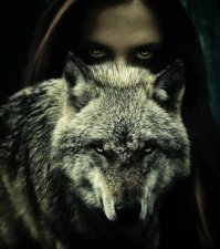 Союз зверья и красоток - на это можно смотреть вечно