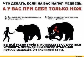 против ножа очень помогает быть взрослым медведем