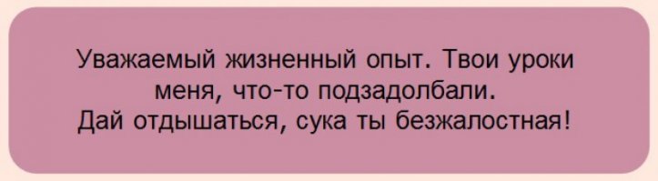 Прикольные и смешные картинки