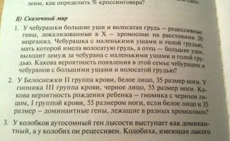 Прикольные и смешные картинки