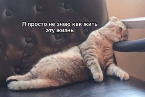 Прикольные и смешные картинки