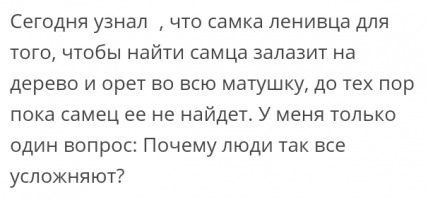 Прикольные и смешные картинки