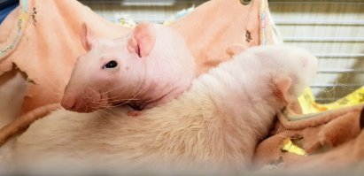 Картинки с надписями