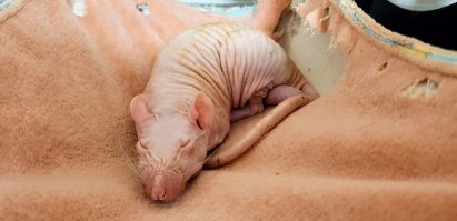 Картинки с надписями