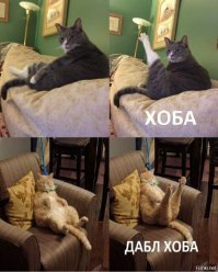 Прикольные и смешные картинки