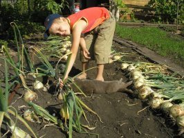 Для меня сборка лука выглядит так :