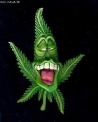 Странные и мемные луки с подиума выглядят так...