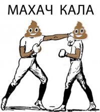 И в Махачкале кал не сражается