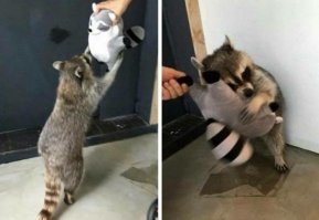 Фотоподборка за 08.02.2019