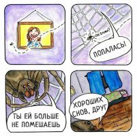 Девушки и пауки